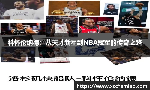 leyu乐鱼体育官网