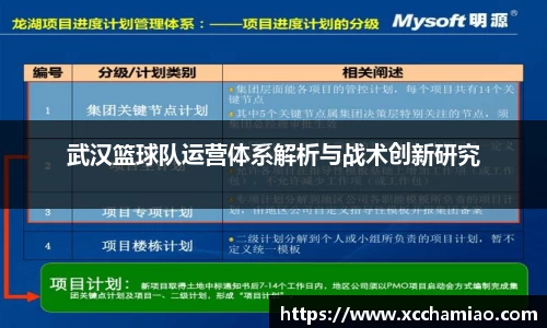 武汉篮球队运营体系解析与战术创新研究