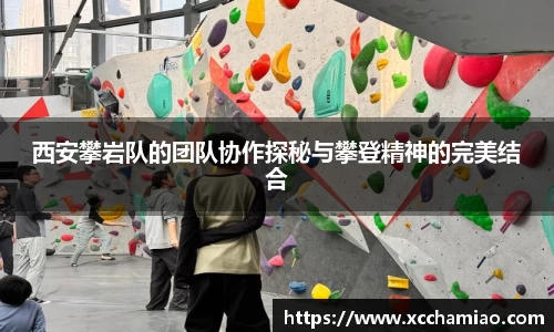 leyu乐鱼体育官网